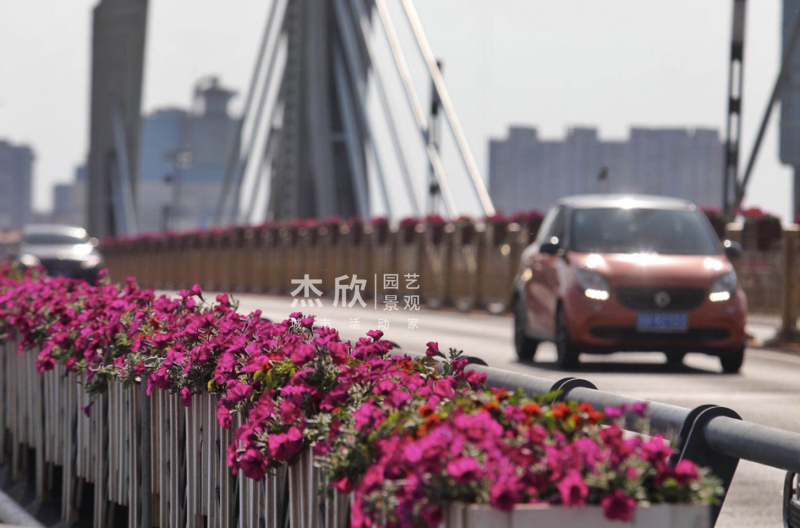花箱尺寸如何確定？